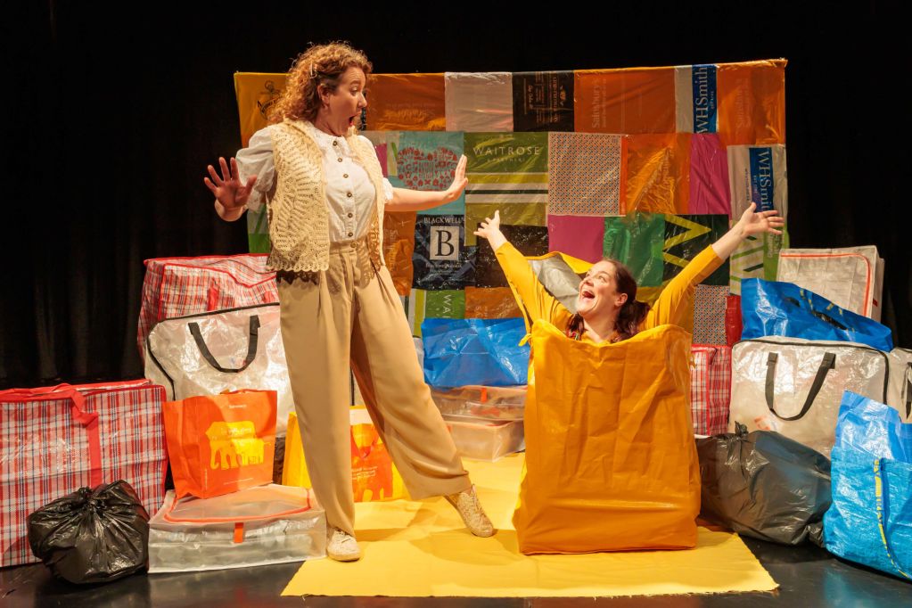 Bags What Not Theatre
