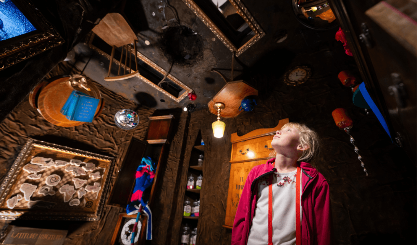 Alice niche