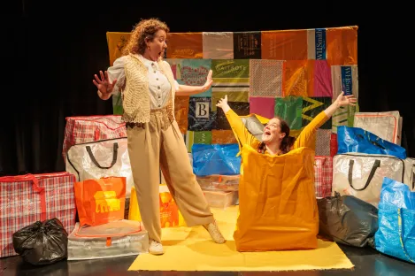Bags What Not Theatre